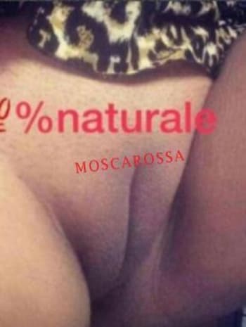 moscarossa.biz